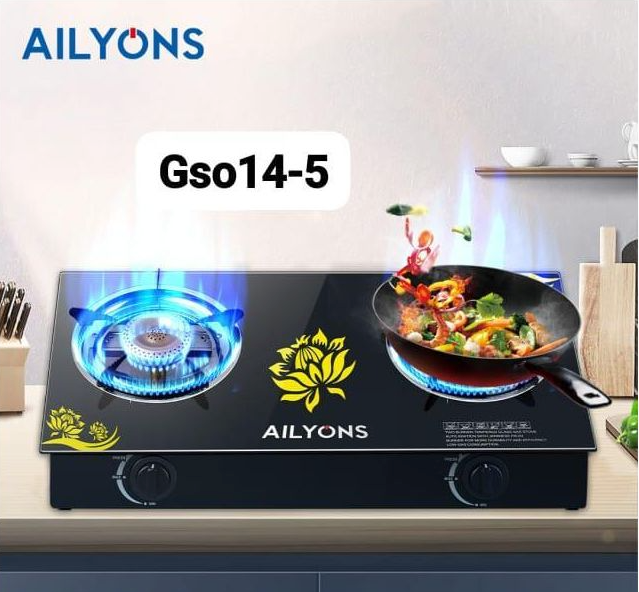 Ailyons GS014-5 Table cooker